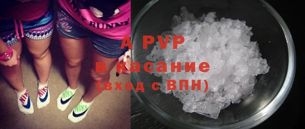 шишки Магас