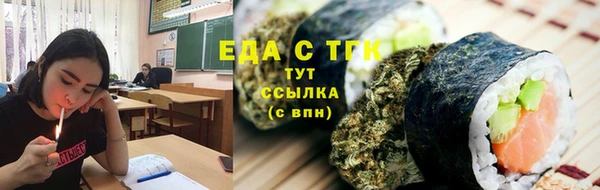 шишки Магас