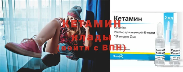 сатива Ессентукская