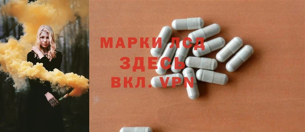 шишки Магас