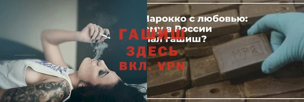 шишки Магас