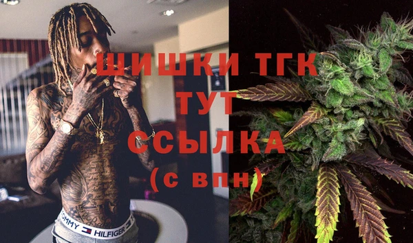 шишки Магас