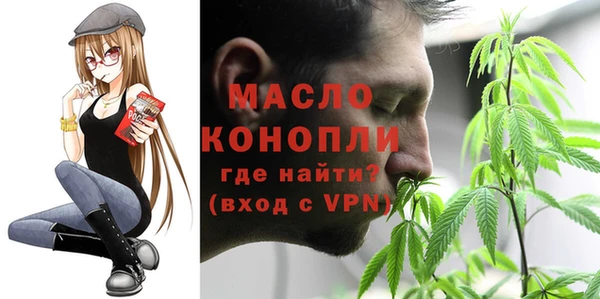 шишки Магас