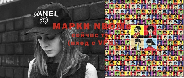 шишки Магас