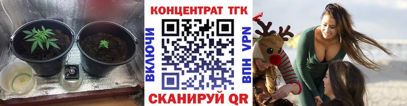 дарнет шоп  ссылка на мегу вход  Дистиллят ТГК вейп  Ядрин 