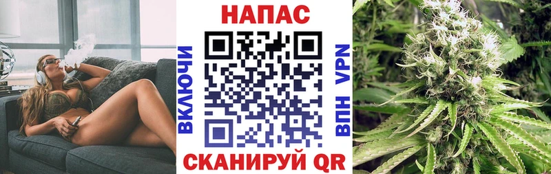 Канабис сатива Ядрин